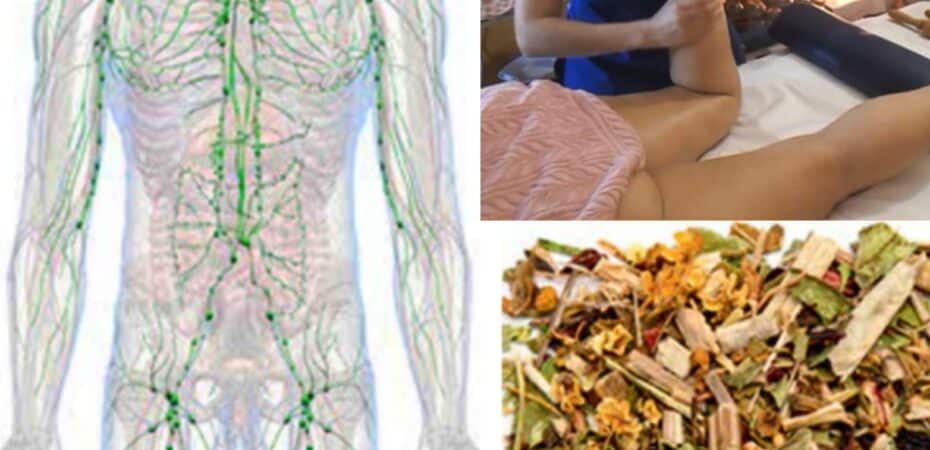 Il sistema linfatico svolge un ruolo cruciale nel drenaggio dei liquidi e nelle difese immunitarie del nostro corpo.