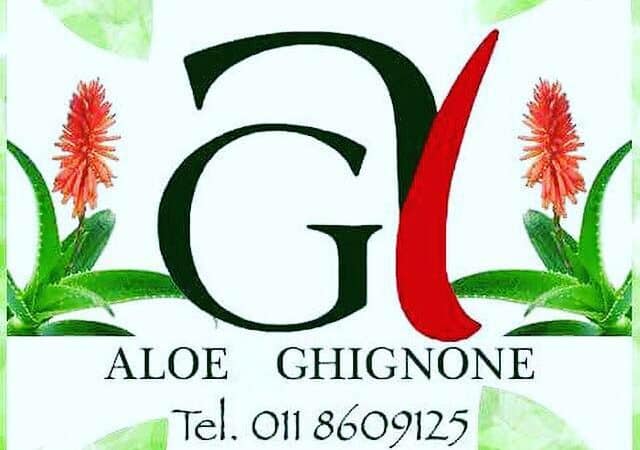 Aloe Arborescens Ghinone - descrizione della pianta e dell'estratto del prodotto naturale. Le aloe e come riconoscescerle. Testimonianze.